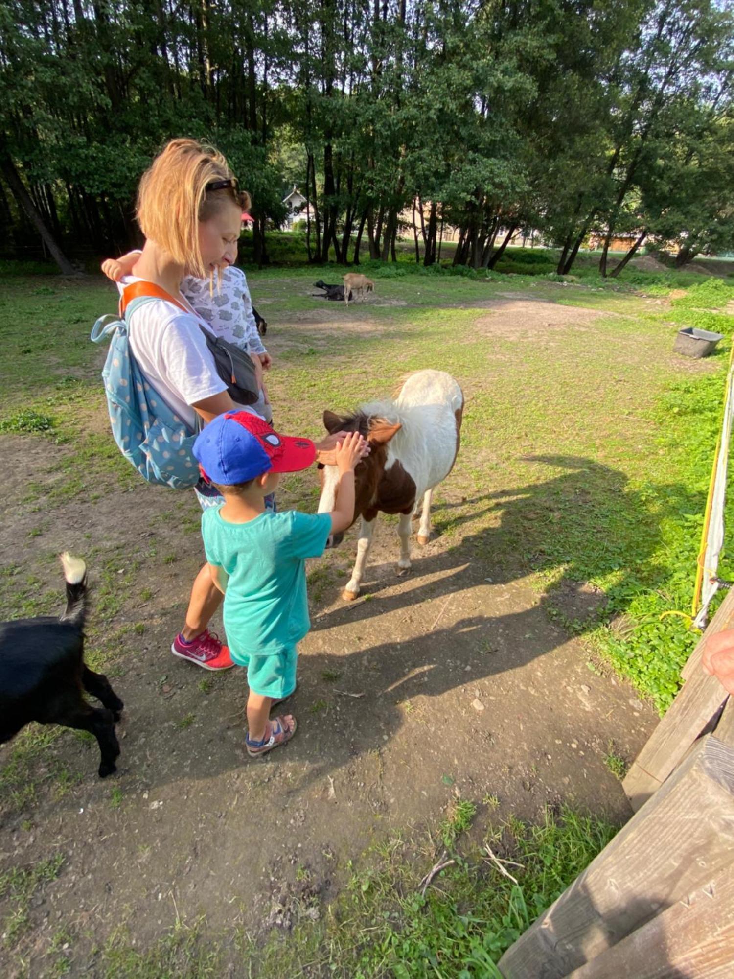 فيلا Drevenica Emilka, 5 Min Restauracia, Z Terasy Vyhlad Na Kralovu Holu A Polomske Ocko, Gril, Ohnisko, Kotlik برزنو المظهر الخارجي الصورة